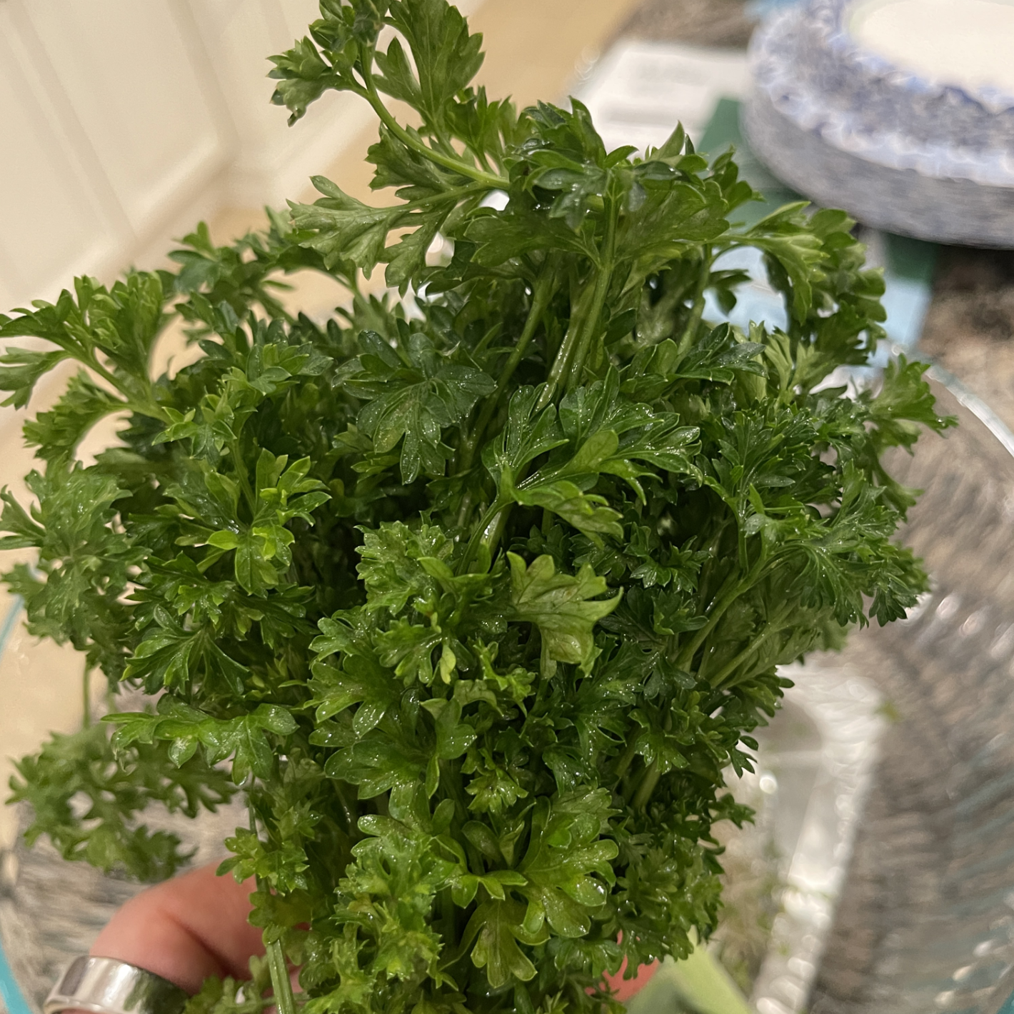 Dr. Rich’s Recipes: Parsley